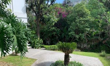 RENTA O VENTA LOCAL  EN CUERNAVACA