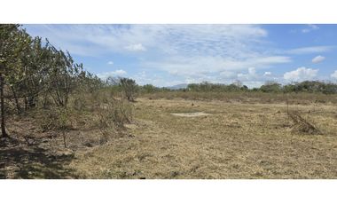 Se Vende Terreno de 6 Hectáreas en El Coco de Penonomé