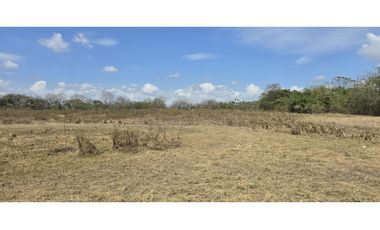 Se Vende Terreno de 6 Hectáreas en El Coco de Penonomé