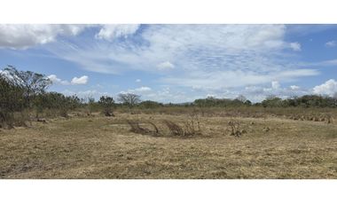 Se Vende Terreno de 6 Hectáreas en El Coco de Penonomé