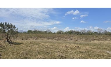 Se Vende Terreno de 6 Hectáreas en El Coco de Penonomé