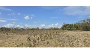 Se Vende Terreno de 6 Hectáreas en El Coco de Penonomé