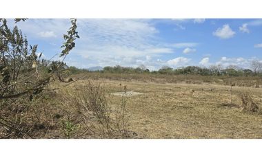 Se Vende Terreno de 6 Hectáreas en El Coco de Penonomé