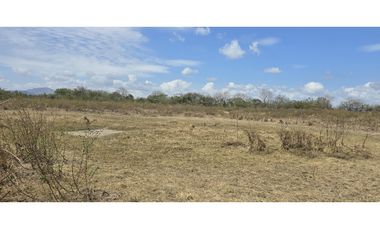 Se Vende Terreno de 6 Hectáreas en El Coco de Penonomé