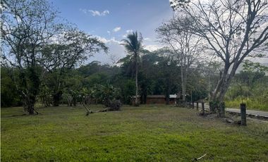 CHILIBRE / TERRENO PLANO / 5200M / SOBRE CALLE / IDEAL PARA VIVIENDA