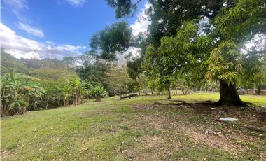 CHILIBRE / TERRENO PLANO / 5200M / SOBRE CALLE / IDEAL PARA VIVIENDA