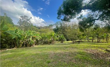 CHILIBRE / TERRENO PLANO / 5200M / SOBRE CALLE / IDEAL PARA VIVIENDA