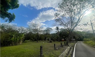CHILIBRE / TERRENO PLANO / 5200M / SOBRE CALLE / IDEAL PARA VIVIENDA