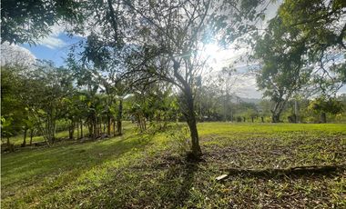 CHILIBRE / TERRENO PLANO / 5200M / SOBRE CALLE / IDEAL PARA VIVIENDA