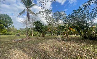 CHILIBRE / TERRENO PLANO / 5200M / SOBRE CALLE / IDEAL PARA VIVIENDA