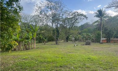 CHILIBRE / TERRENO PLANO / 5200M / SOBRE CALLE / IDEAL PARA VIVIENDA