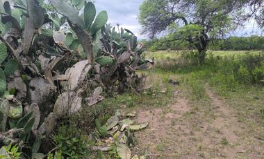 VENTA HERMOSA CASA EN LA GRANJA