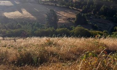 PARCELA DE 2 HECTÁREAS EN FOLLECO IDEAL INVERSIÓN O PROYECTO