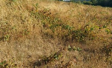 PARCELA DE 2 HECTÁREAS EN FOLLECO IDEAL INVERSIÓN O PROYECTO