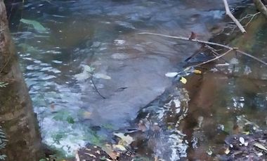 PARCELA DE 2 HECTÁREAS EN FOLLECO IDEAL INVERSIÓN O PROYECTO