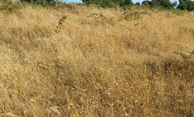 PARCELA DE 2 HECTÁREAS EN FOLLECO IDEAL INVERSIÓN O PROYECTO