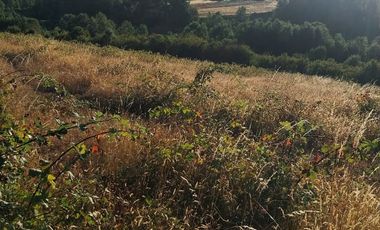 PARCELA DE 2 HECTÁREAS EN FOLLECO IDEAL INVERSIÓN O PROYECTO