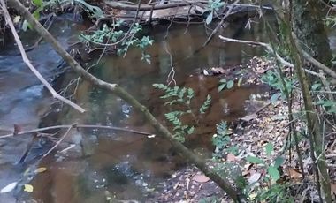 PARCELA DE 2 HECTÁREAS EN FOLLECO IDEAL INVERSIÓN O PROYECTO