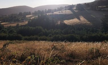 PARCELA DE 2 HECTÁREAS EN FOLLECO IDEAL INVERSIÓN O PROYECTO