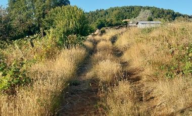 PARCELA DE 2 HECTÁREAS EN FOLLECO IDEAL INVERSIÓN O PROYECTO