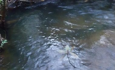 PARCELA DE 2 HECTÁREAS EN FOLLECO IDEAL INVERSIÓN O PROYECTO