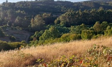 PARCELA DE 2 HECTÁREAS EN FOLLECO IDEAL INVERSIÓN O PROYECTO