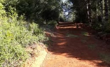 PARCELAS CON ROL INDEPENDIENTE Y FACTIBILIDAD DE LUZ Y AGUA