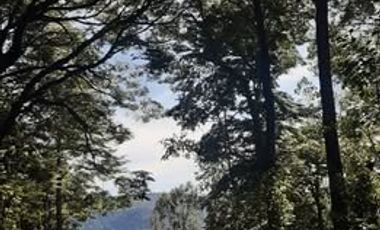 PARCELAS CON ROL INDEPENDIENTE Y FACTIBILIDAD DE LUZ Y AGUA