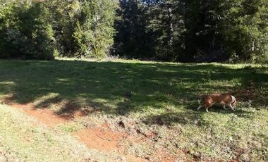 PARCELAS CON ROL INDEPENDIENTE Y FACTIBILIDAD DE LUZ Y AGUA