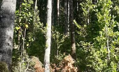 PARCELAS CON ROL INDEPENDIENTE Y FACTIBILIDAD DE LUZ Y AGUA
