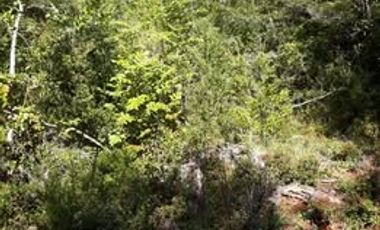 PARCELAS CON ROL INDEPENDIENTE Y FACTIBILIDAD DE LUZ Y AGUA