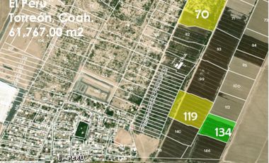 Terreno en Venta en El Perú, Torreón, Coahuila de Zaragoza