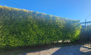 CASA LOMAS DEL RIO 2  CERCANO AL HOSPITAL Y COLEGIOS