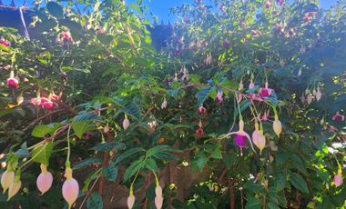 CASA LOMAS DEL RIO 2  CERCANO AL HOSPITAL Y COLEGIOS