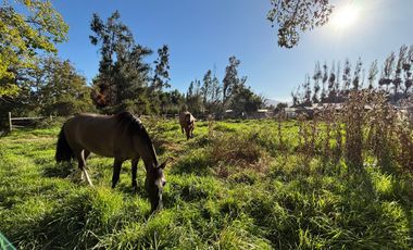 OPORTUNIDAD DE INVERSION PARCELA DE 10600 MTS2 MELIPILLA