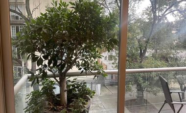 .Amueblado-Alberca/GYM - 1 Julio -25