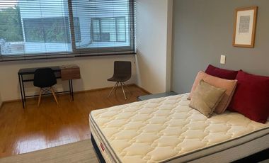 .Amueblado-Alberca/GYM - 1 Julio -25