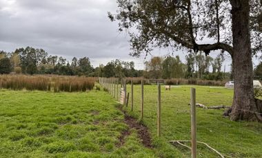 Parcela Rio Bueno orilla rio