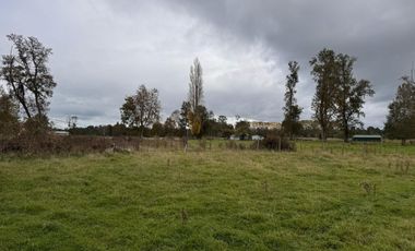 Parcela Rio Bueno orilla rio