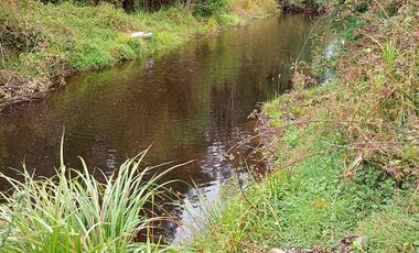 Parcela Rio Bueno orilla rio