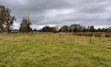 Parcela Rio Bueno orilla rio