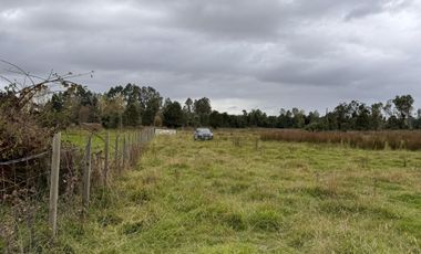 Parcela Rio Bueno orilla rio