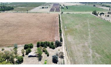 Vendo Campo de 349 hectáreas en Gualeguaychú, Entre Ríos.