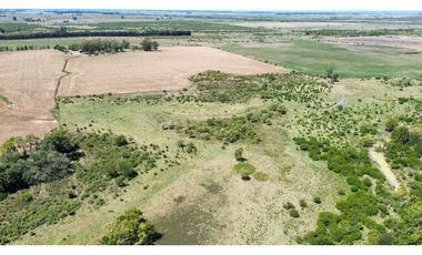 Vendo Campo de 349 hectáreas en Gualeguaychú, Entre Ríos.