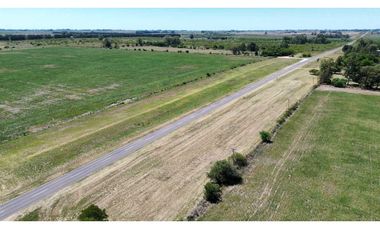 Vendo Campo de 349 hectáreas en Gualeguaychú, Entre Ríos.