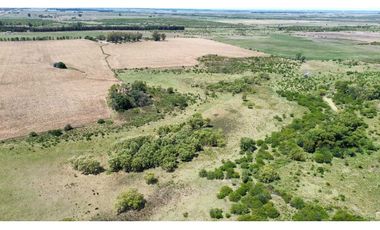 Vendo Campo de 349 hectáreas en Gualeguaychú, Entre Ríos.