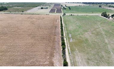 Vendo Campo de 349 hectáreas en Gualeguaychú, Entre Ríos.