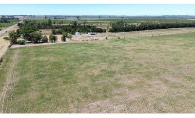 Vendo Campo de 349 hectáreas en Gualeguaychú, Entre Ríos.