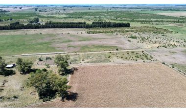 Vendo Campo de 349 hectáreas en Gualeguaychú, Entre Ríos.