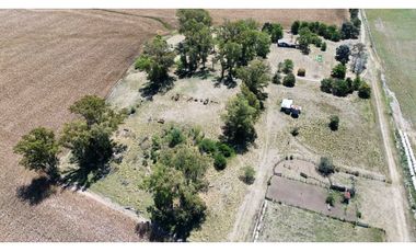 Vendo Campo de 349 hectáreas en Gualeguaychú, Entre Ríos.